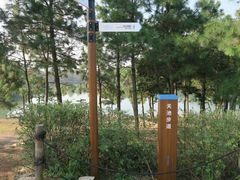 -南京市无想山景区