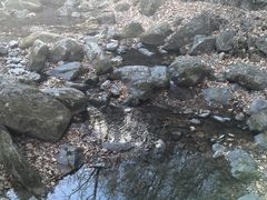 -香炉山国家森林公园