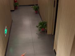 -耳湾躺式采耳SPA馆(保利五月花店)