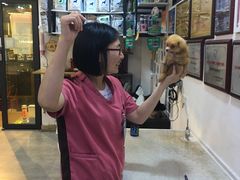 -严国平动物医院(德政总院)