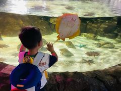 -福州罗源湾海洋世界旅游区