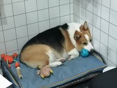 -老四川平头酸菜鱼(衙前店)