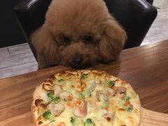 -百好乐宠物友好餐厅(朝外大街店)