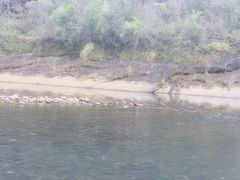 -九曲溪竹筏码头