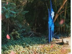 -广东惠东海龟国家级自然保护区