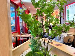 -华记煲仔华·煲仔饭(三元里万科里店)