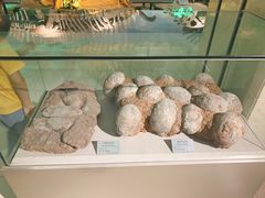 -甘肃地质博物馆