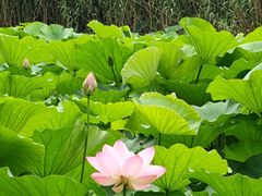 -坤济堂盲人推拿按摩