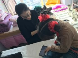 点击看大图 -伊童美家小儿推拿·中式养生(徐汇店)