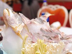 东海黄鱼打边炉-好福记饭店(红梅公园店)