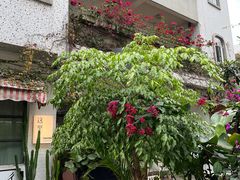 -彳亍咖啡·这里(水湾路店)