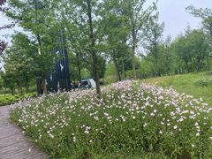 -柳鹭田园区