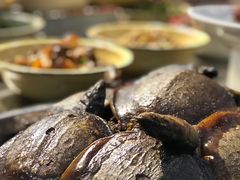 -龙小海荆沙鸽子店(瑞安街店)