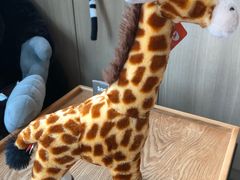 -ZOO COFFEE动物园咖啡(望京锐创店)
