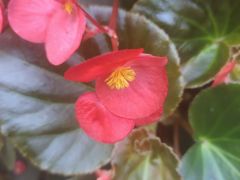 -上海鲁迅故居