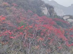 -北京凤凰岭