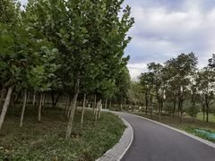 -东郊湿地公园