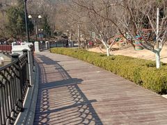 -南山植物园