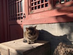 -万松老人塔