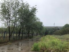 -永定河休闲森林公园