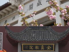 -长春观