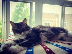 -瑞派福兴宠物医院犬猫全科·骨科·中西医结合(河东店)