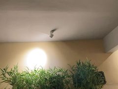 -耳艺采耳·足疗·按摩SPA(市桥店)
