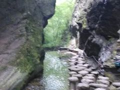 android_upload_pic-牛背梁国家森林公园