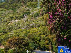 -梅州天地人花园酒店(梅县人民广场店)