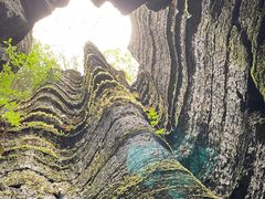 -梭布垭石林景区