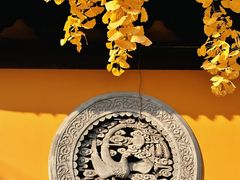 -龙华寺