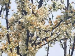 -白鹭洲公园