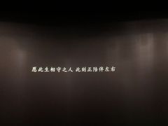 -卢米埃影城(长楹天街IMAX激光店)