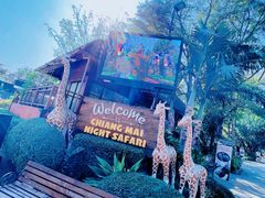 -清迈夜间动物园