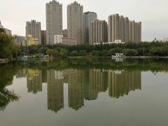 -青城公园