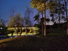 景点-眉山湿地公园(东坡区)