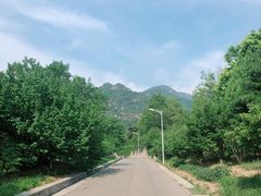 -北京鹫峰国家森林公园