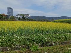 -光明小镇欢乐田园