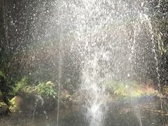 -绿光森林餐厅