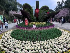 -南山植物园