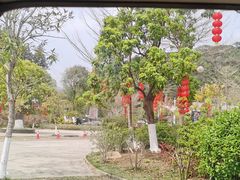 -广州白江湖森林公园