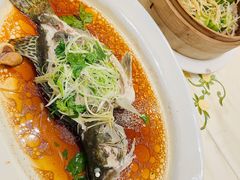 清蒸鱼-沙龙酒家