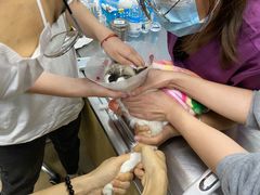 -瑞派·关忠动物医院·异宠专科·犬猫肿瘤·皮肤专科(望京店)