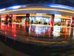 -巴依老爷新疆美食(望京小街店)