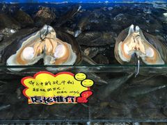 -蚝专家(北滘店)