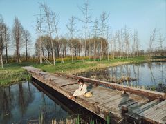 -江苏三台山国家森林公园