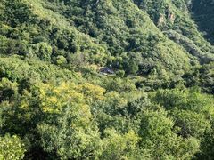 -大岭沟猕猴桃谷风景区
