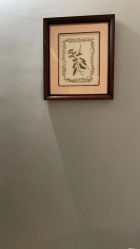 点击看大图 -美丽田园