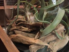 -大树餐厅(益田假日店)