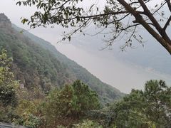 -铁山坪森林公园